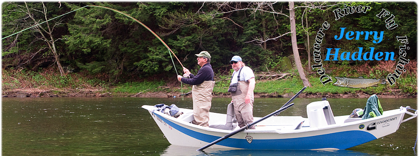 Fishing in DELAWARE: The Complete Guide